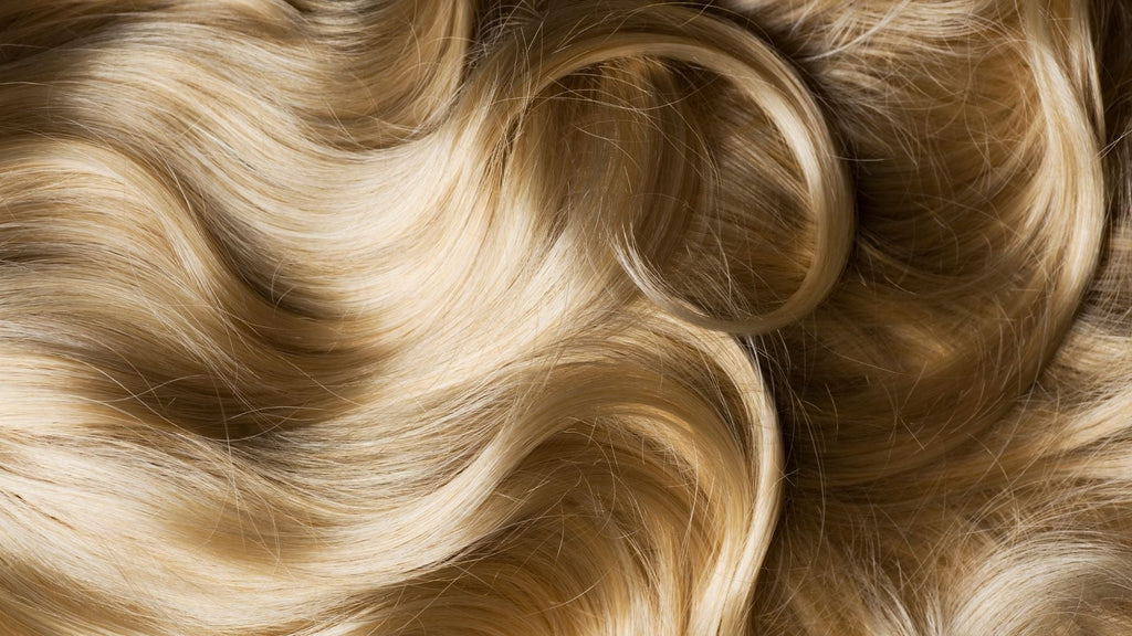 Colour Protect Shampoo and Conditioner My Store